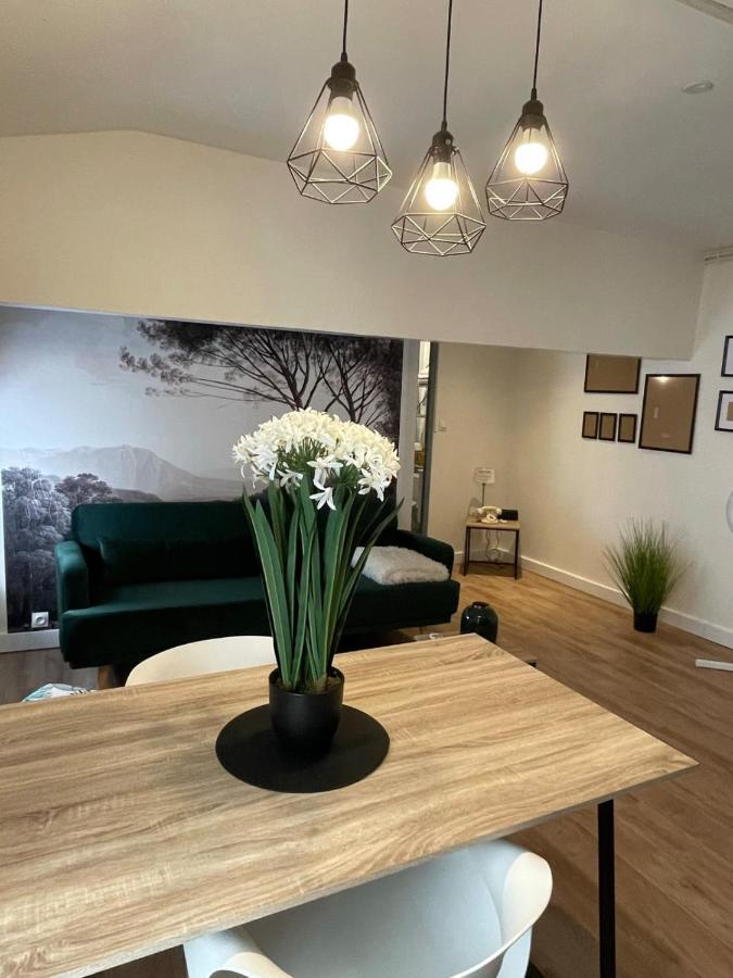 Magnifique Appartement Au Coeur De La Ville Béziers Esterno foto